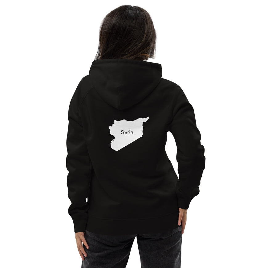 No substitute for Syria - hoodie